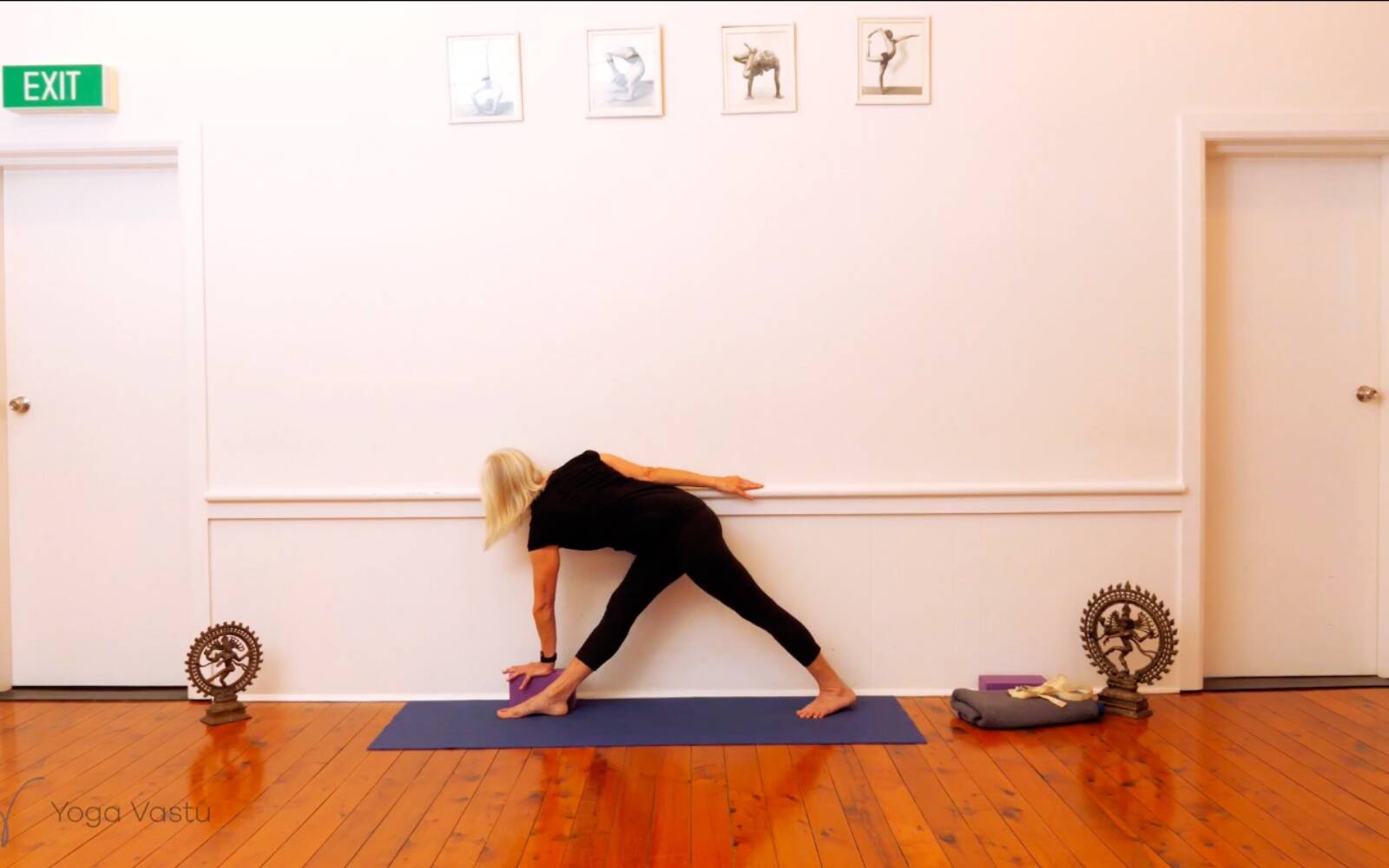 Online Iyengar yoga videos | Trying Out and Observing Different Pose Modifications (Level 3)