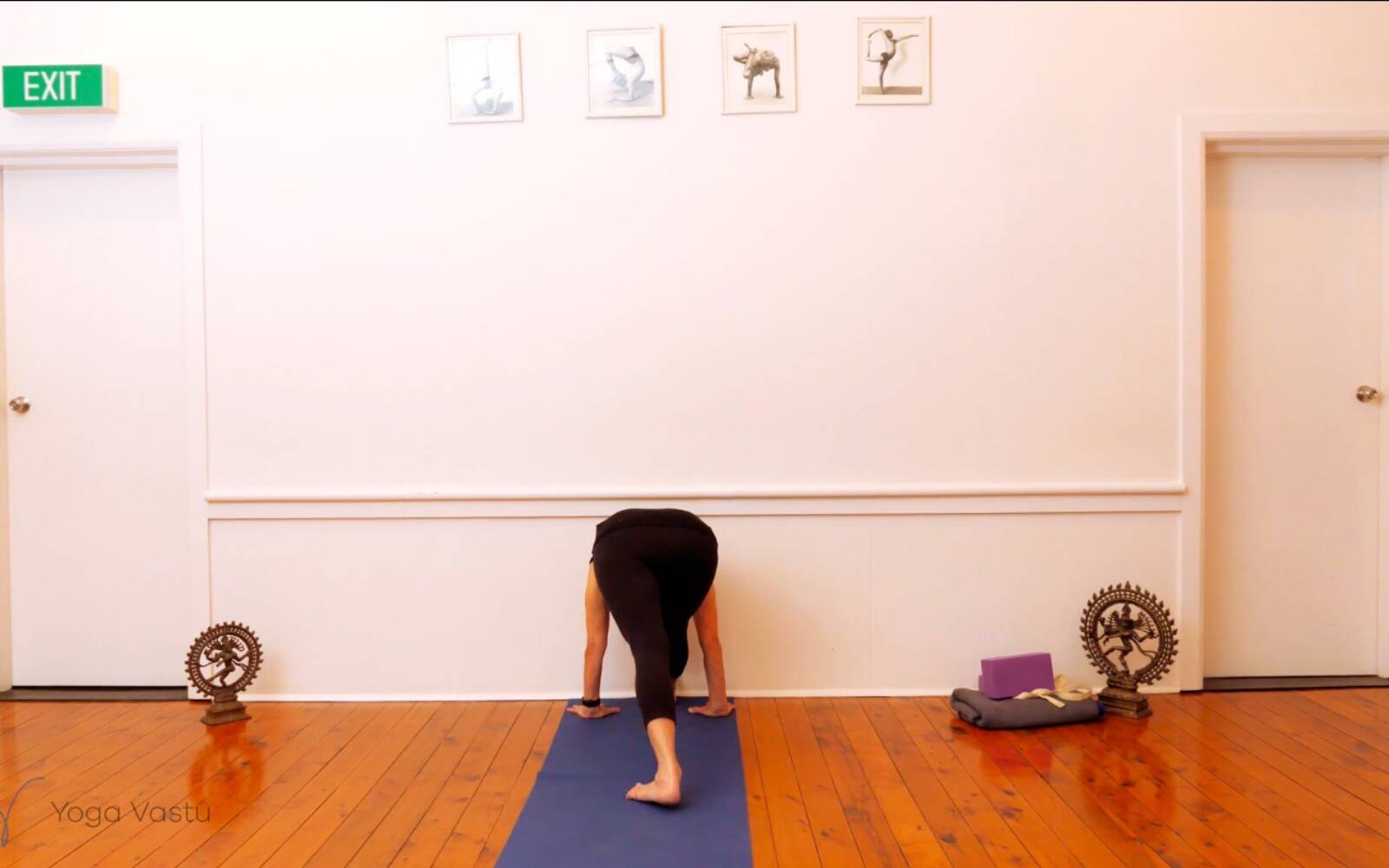 Online Iyengar yoga videos | Trying Out and Observing Different Pose Modifications (Level 3)