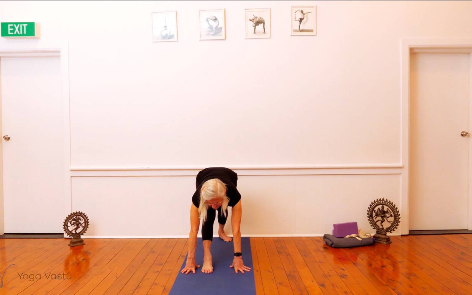Online Iyengar yoga videos | Trying Out and Observing Different Pose Modifications (Level 3)