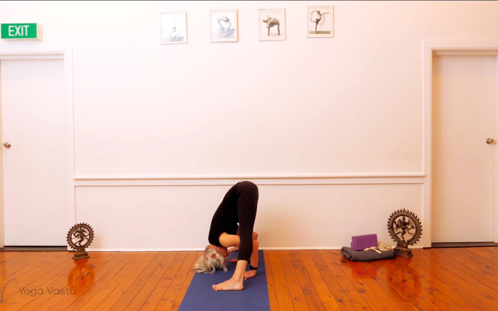 Online Iyengar yoga videos | Trying Out and Observing Different Pose Modifications (Level 3)
