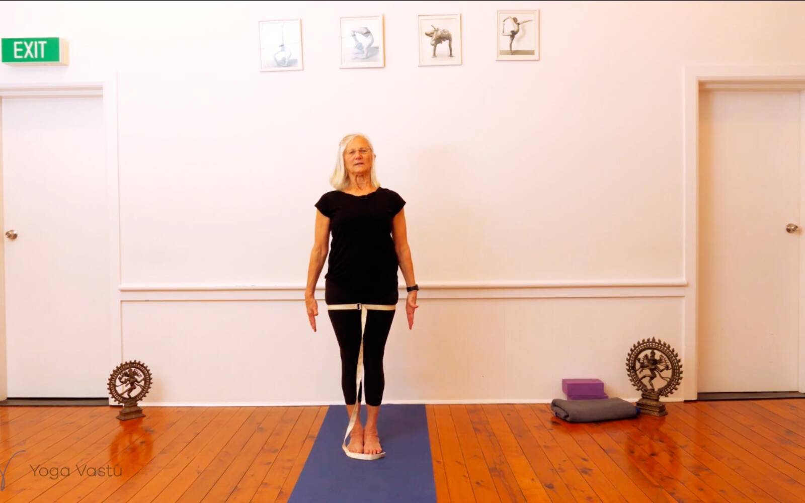 Online Iyengar yoga videos | Trying Out and Observing Different Pose Modifications (Level 3)