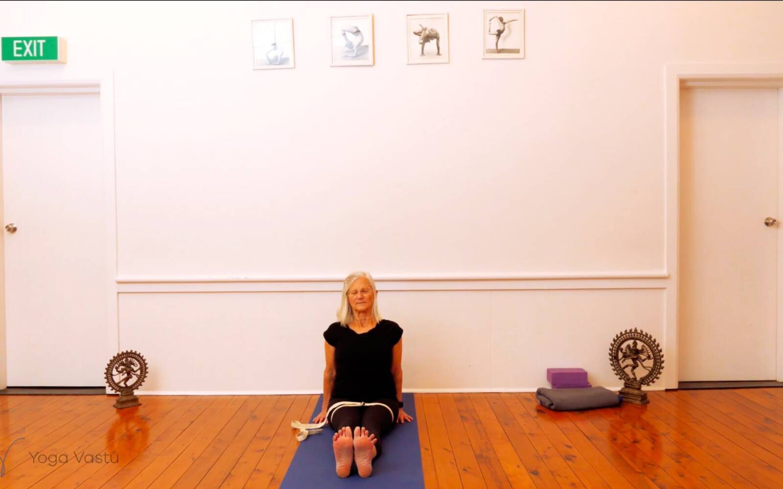 Online Iyengar yoga videos | Trying Out and Observing Different Pose Modifications (Level 3)