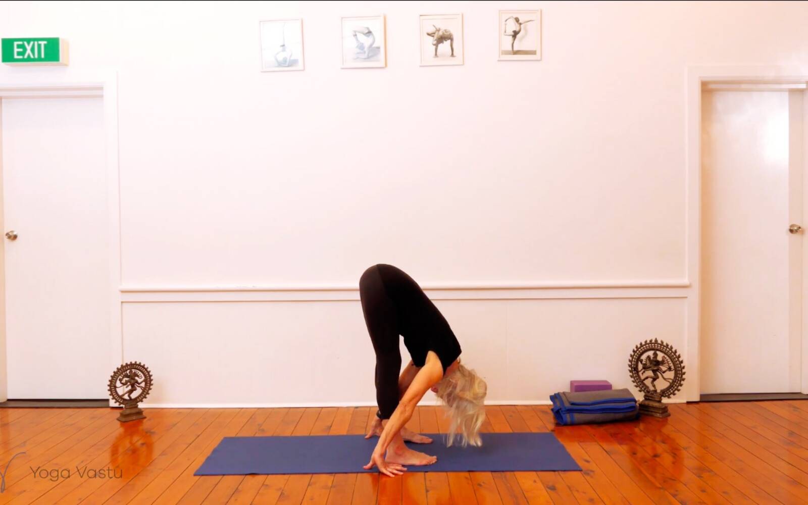 Online Iyengar yoga videos | Trying Out and Observing Different Pose Modifications (Level 3)
