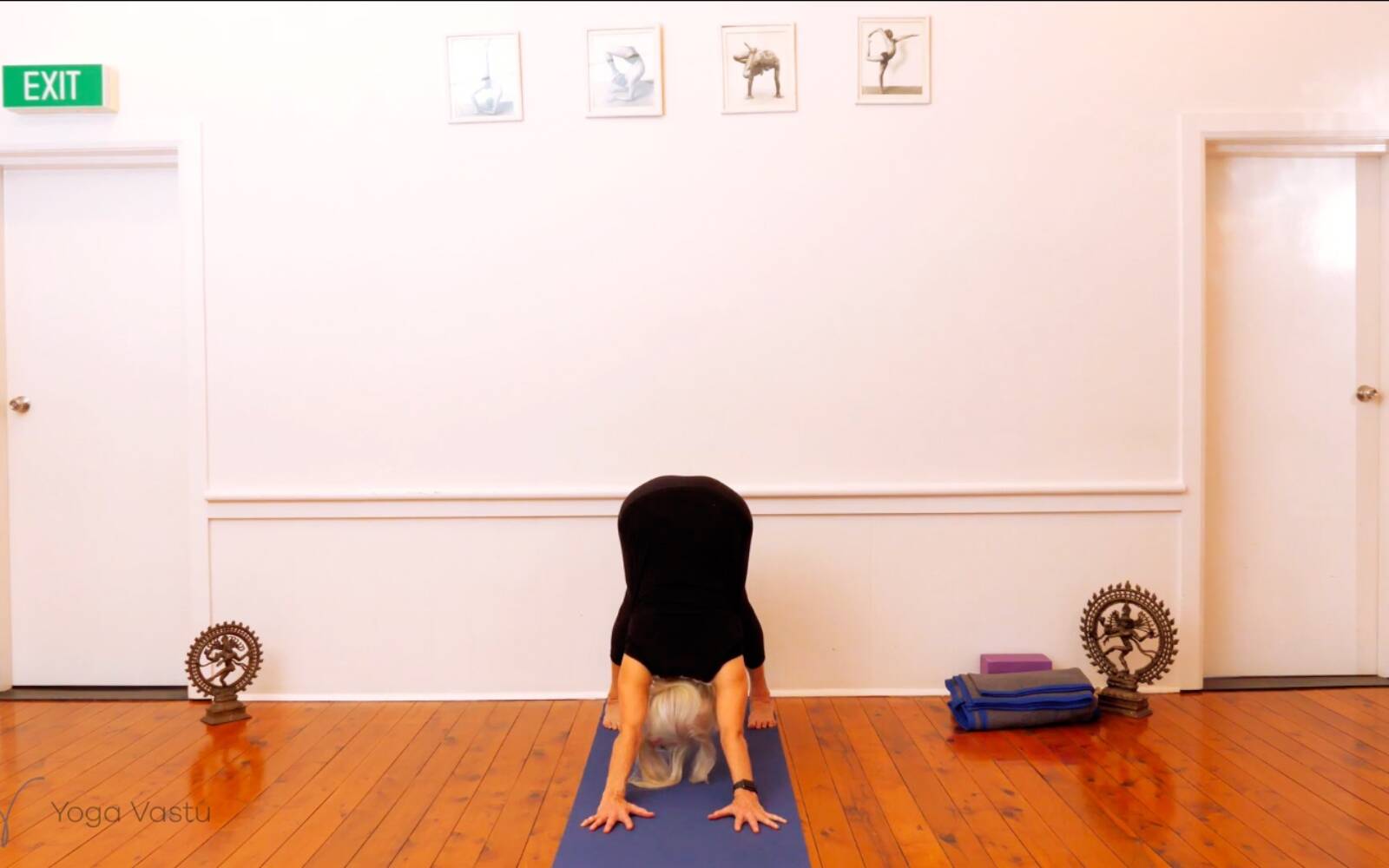Online Iyengar yoga videos | Trying Out and Observing Different Pose Modifications (Level 3)