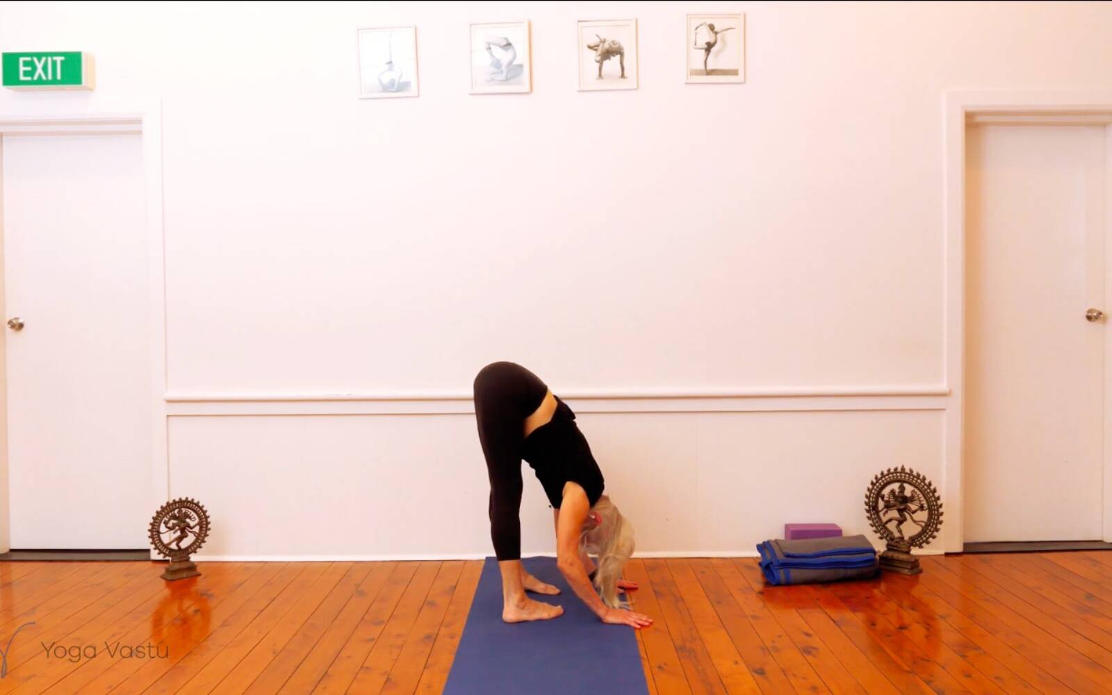 Online Iyengar yoga videos | Trying Out and Observing Different Pose Modifications (Level 3)