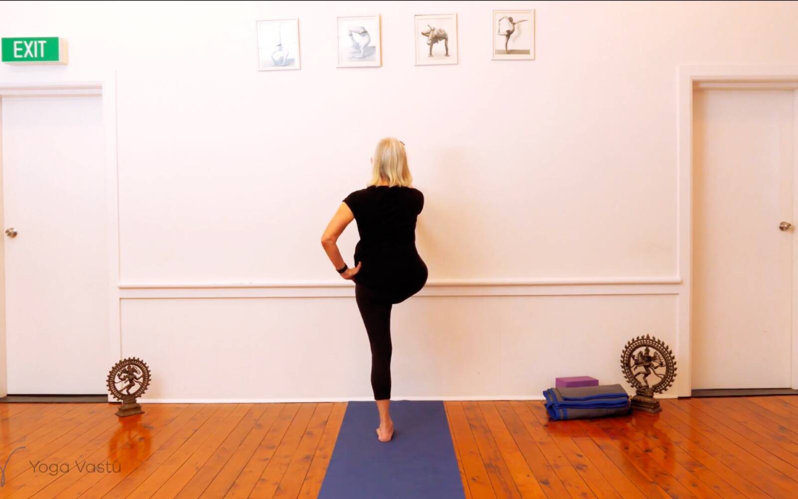 Online Iyengar yoga videos | Trying Out and Observing Different Pose Modifications (Level 3)