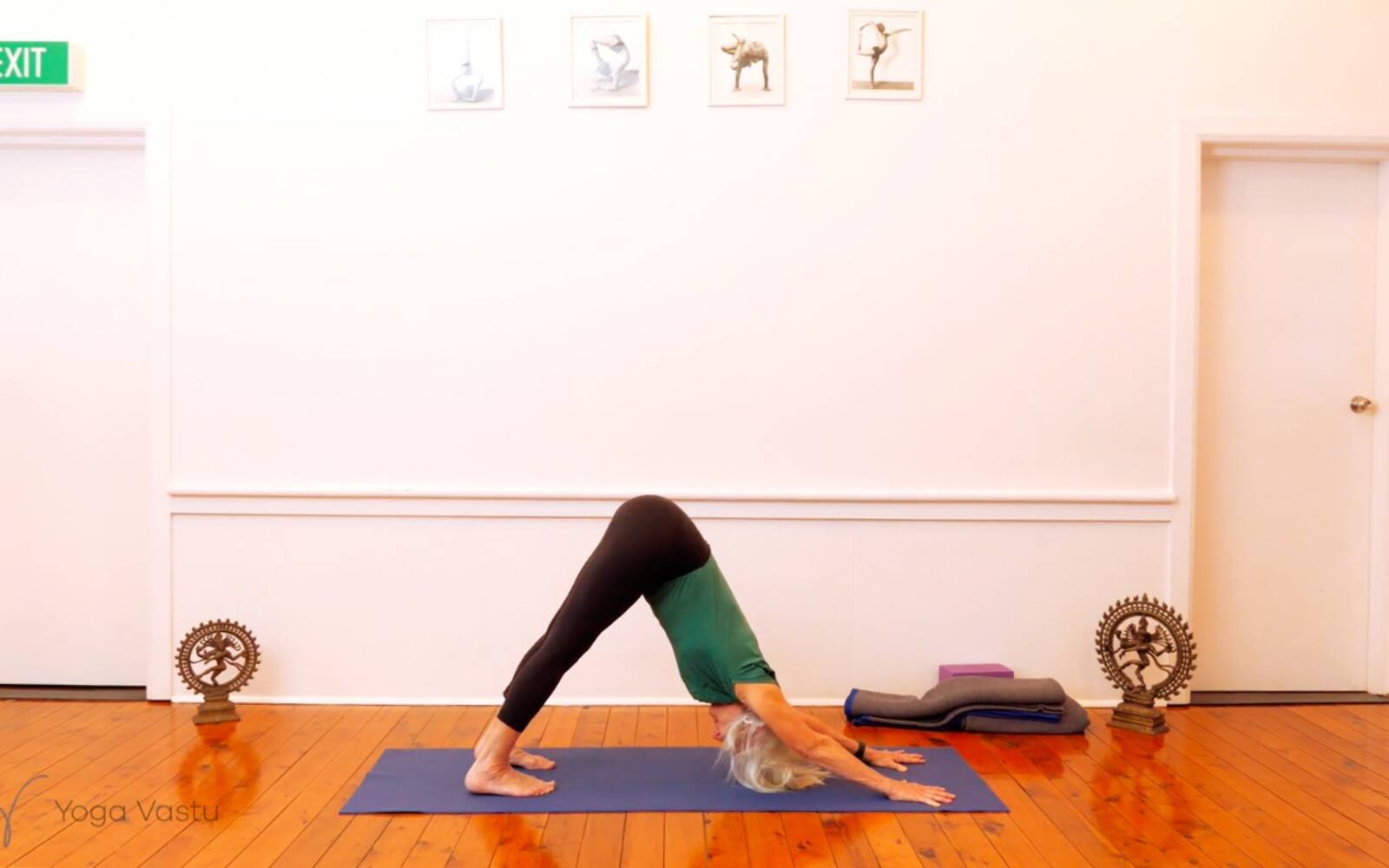 Sydney Observer < Chair Yoga for Seniors