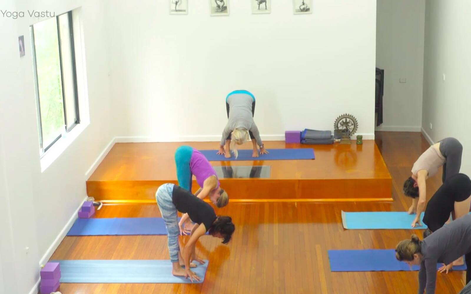 Online Iyengar yoga videos | Weight Distribution and Alignment in Backbends