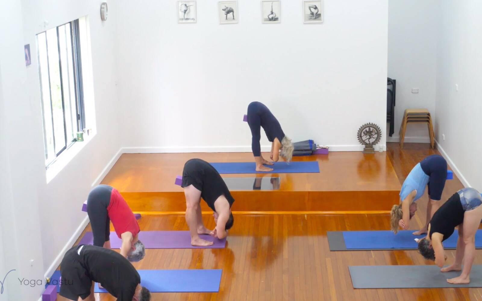 Online Iyengar yoga videos | Grounding and Observation in Backbends