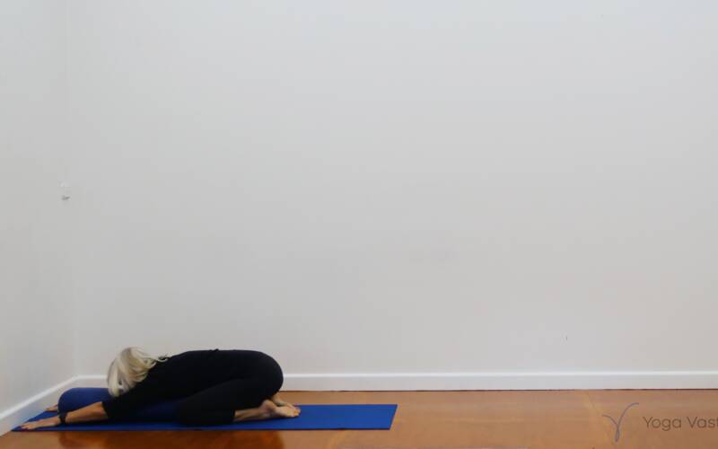 Iyengar yoga videos – pranayama & restorative asanas - Yoga Vastu