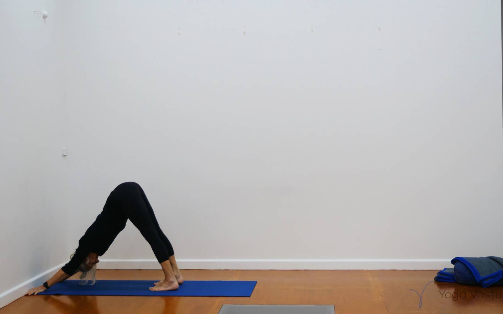 Online Iyengar yoga videos | Dynamic Session to Tone the Abdominals