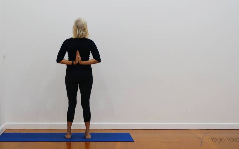 Online Iyengar yoga video thumbnail: Writst, Shoulder and Neck Release