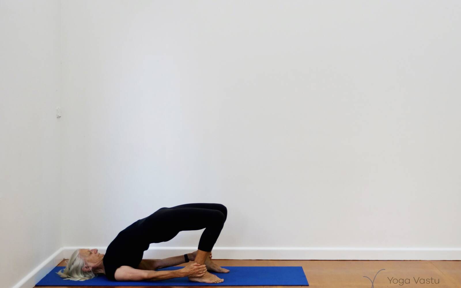 Engaging the Back Body and Legs in Backbends - Yoga Vastu