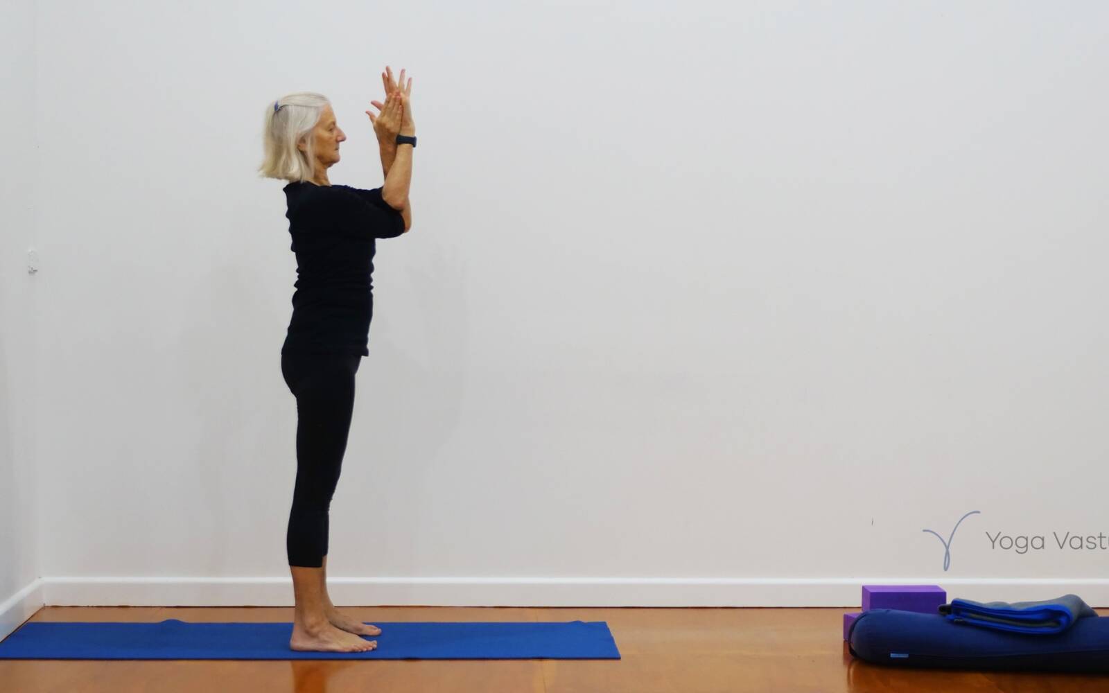 Standing Wide Legged Pose Hands On Hips Yoga (Prasarita Tadasana
