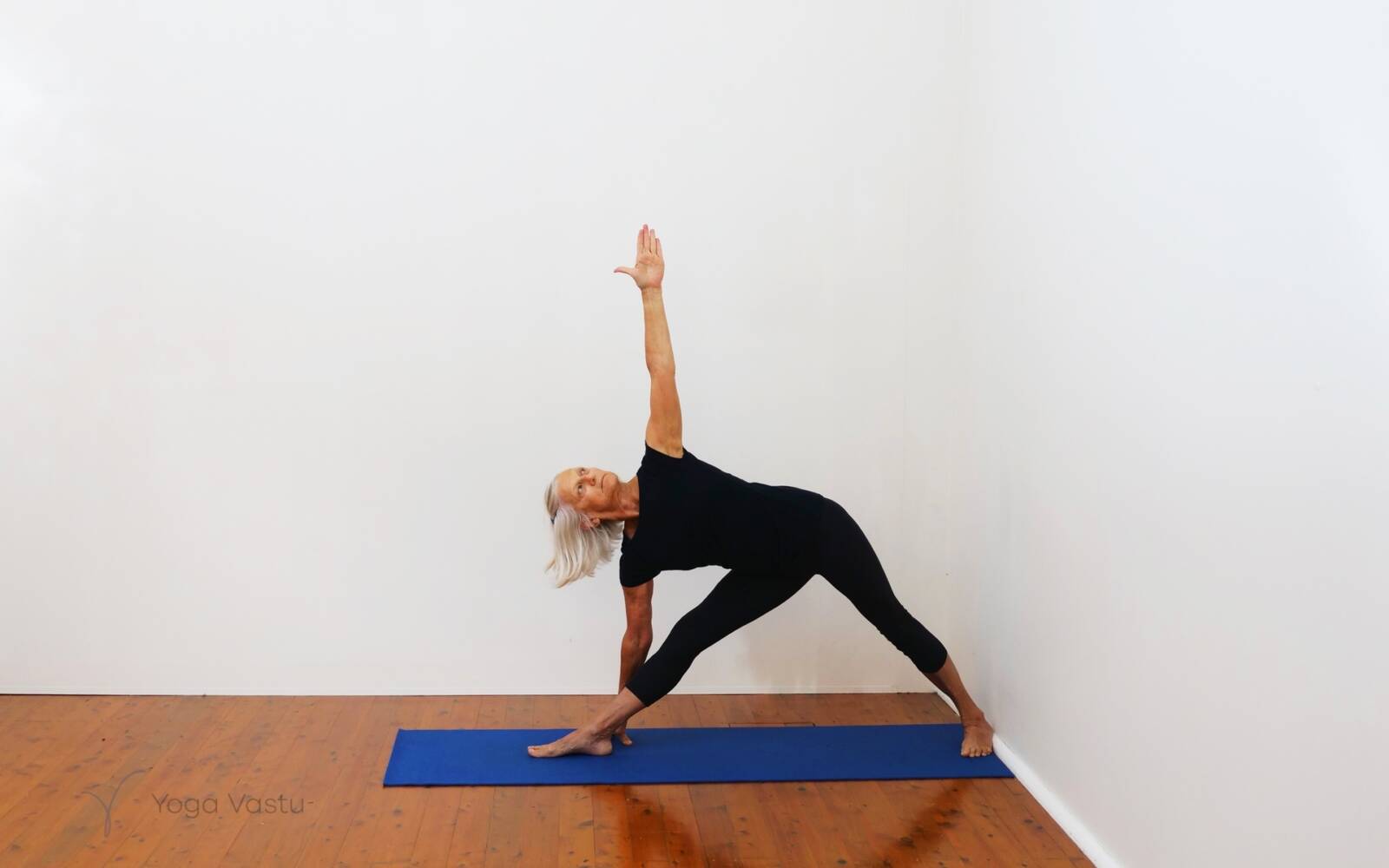 Online Iyengar yoga videos | Cooling Forward Bends for Stress Release