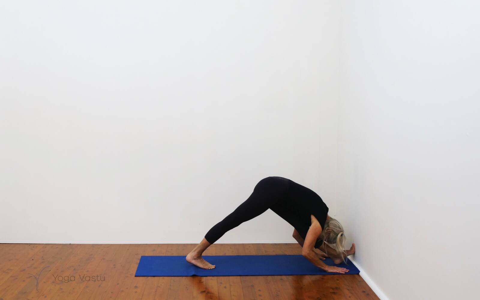 Online Iyengar yoga videos | Cooling Forward Bends for Stress Release