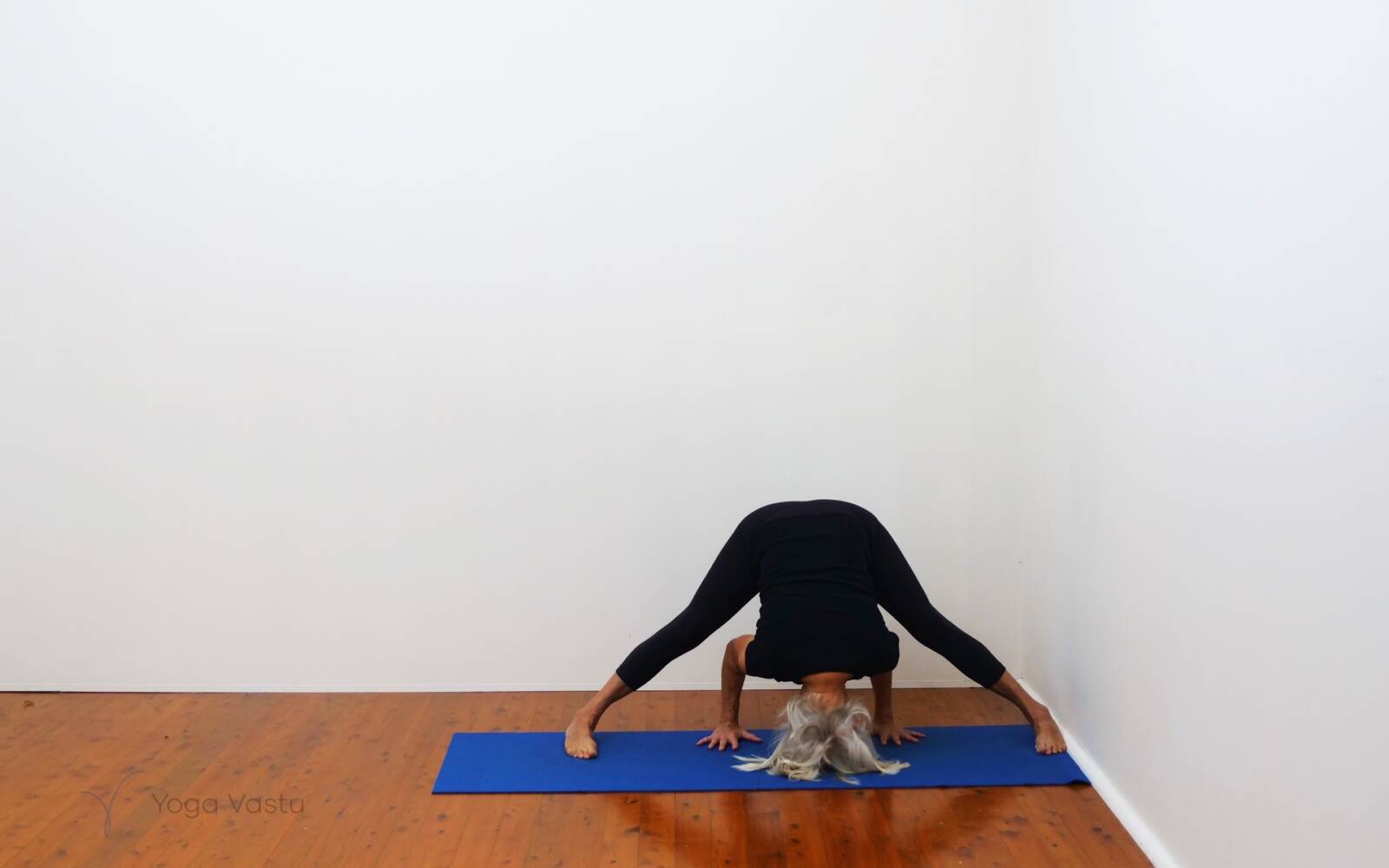 Online Iyengar yoga videos | Cooling Forward Bends for Stress Release