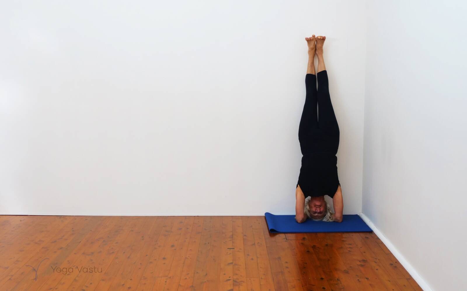 Online Iyengar yoga videos | Cooling Forward Bends for Stress Release