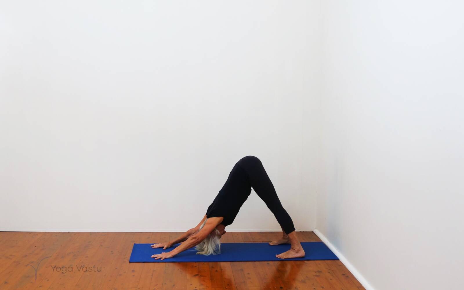 Online Iyengar yoga videos | Cooling Forward Bends for Stress Release