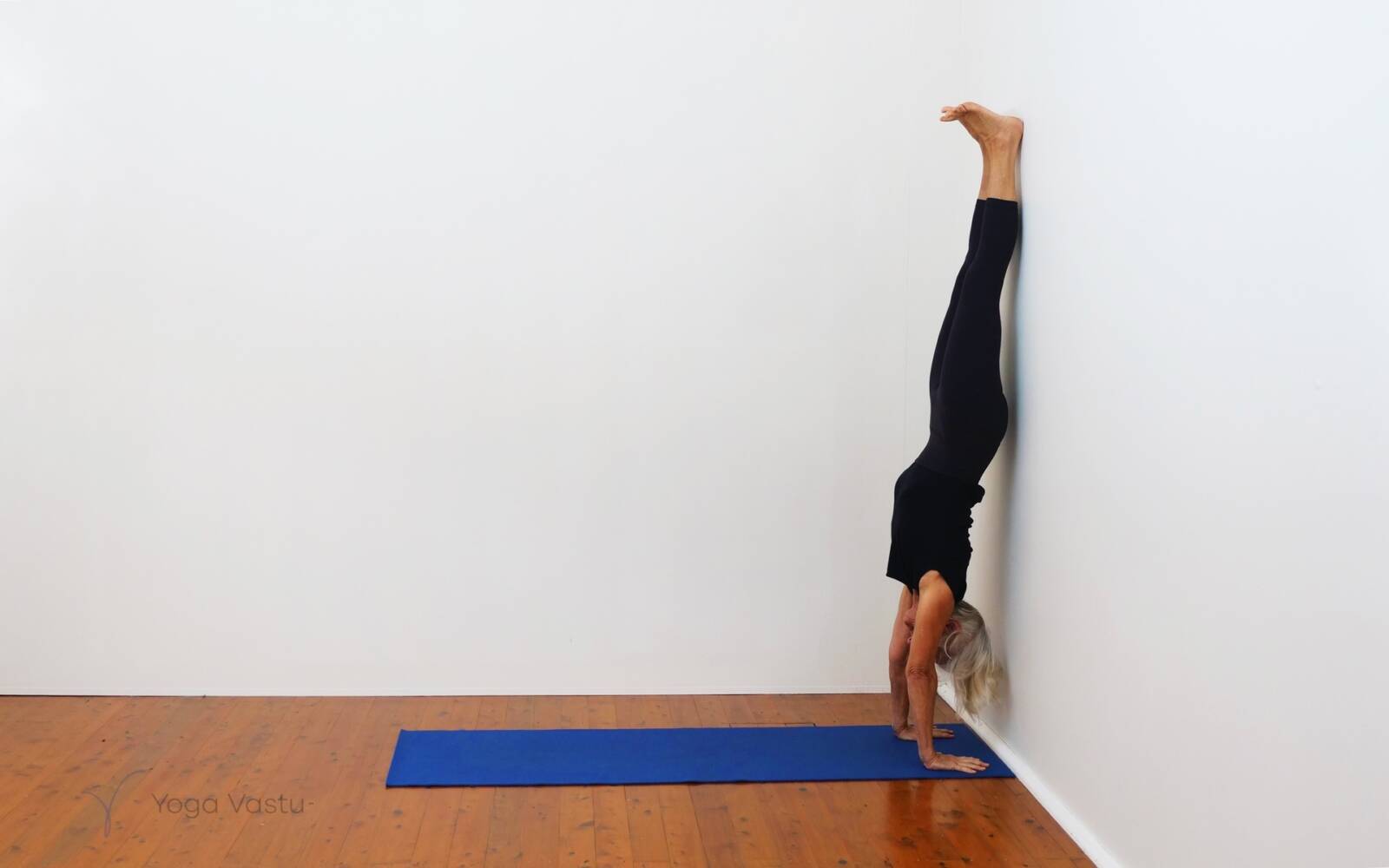 Online Iyengar yoga videos | Cooling Forward Bends for Stress Release