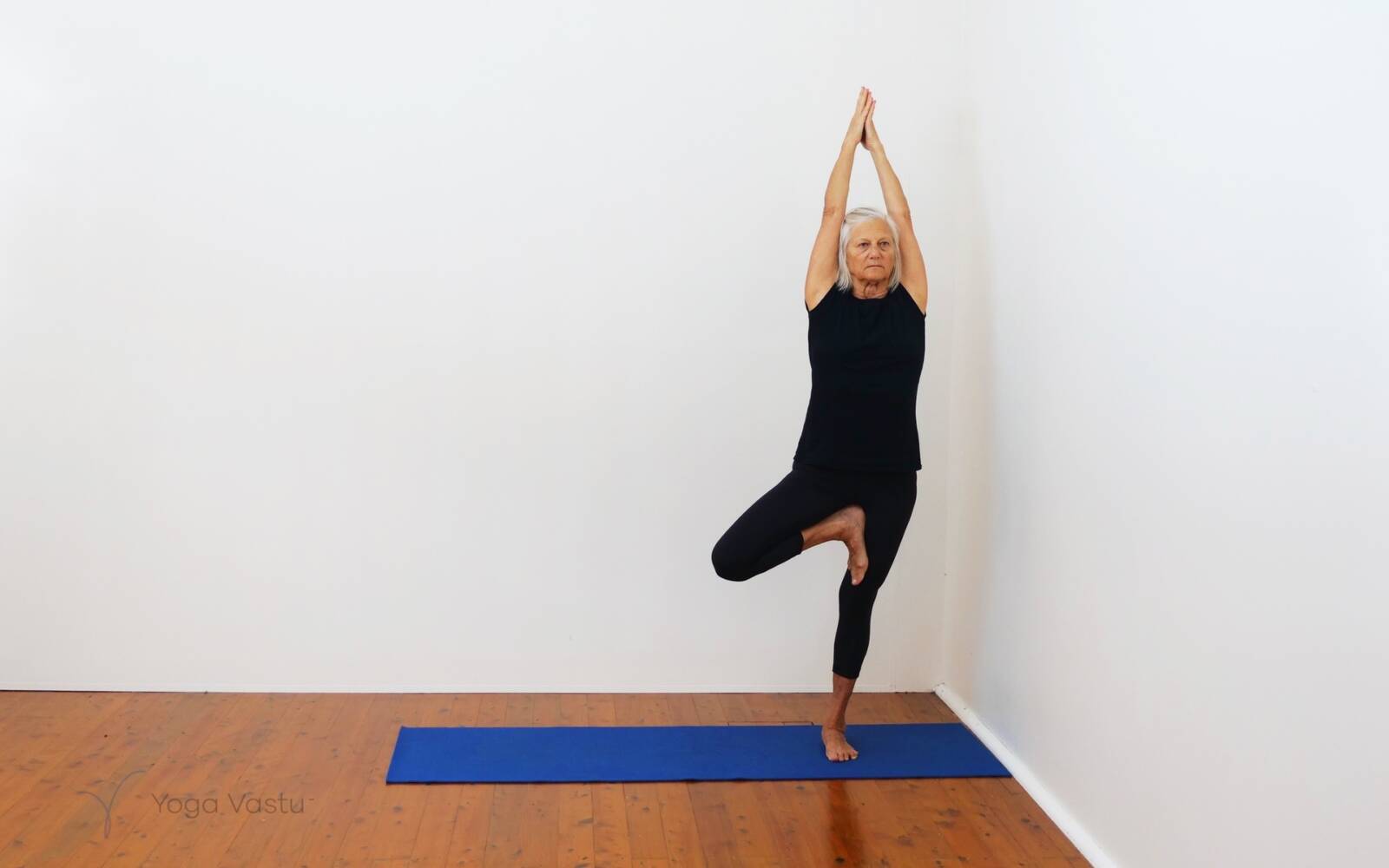 Online Iyengar yoga videos | Cooling Forward Bends for Stress Release