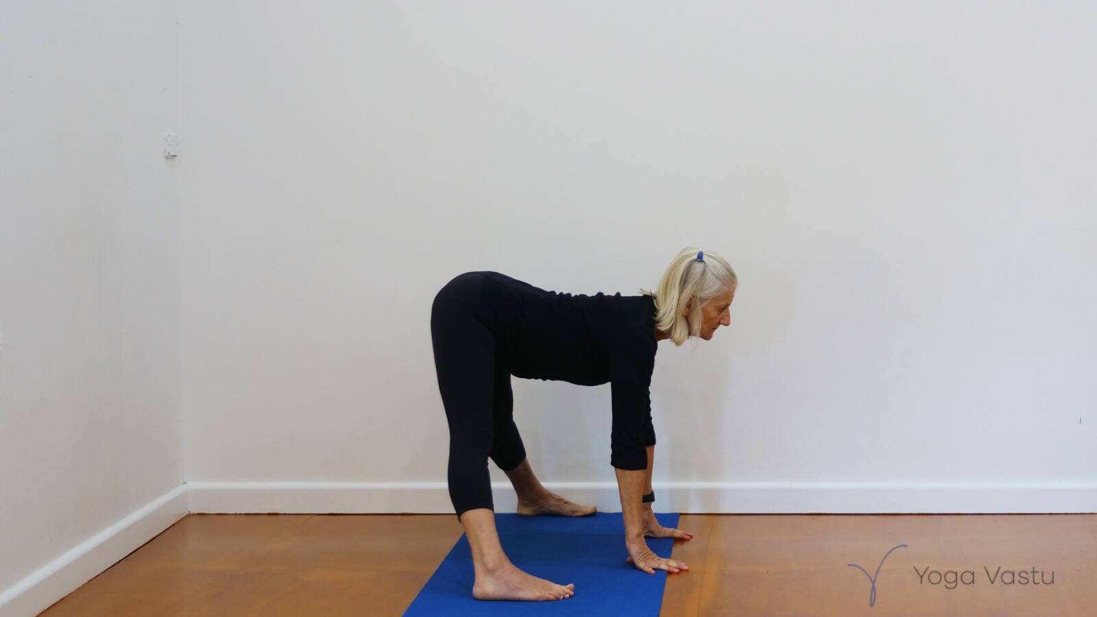 Gentle Revision of Standing Pose Foundations - Yoga Vastu