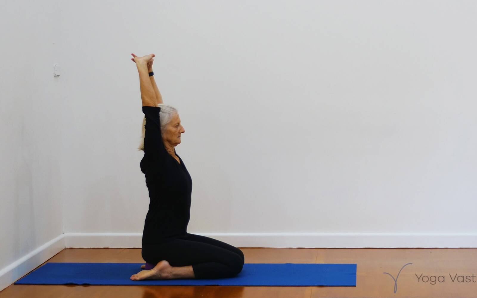 Gentle Revision of Standing Pose Foundations - Yoga Vastu