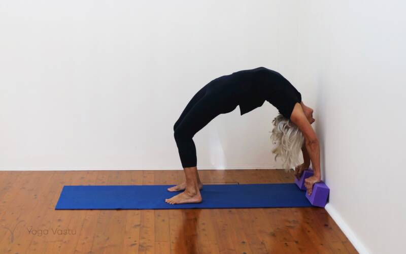 Urdhva Dhanurasana pose