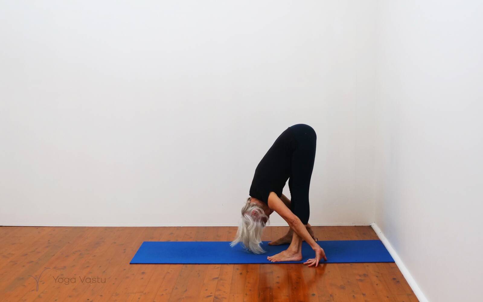 Online Iyengar yoga videos | Restorative and Pranayama to Facilitate Grounding