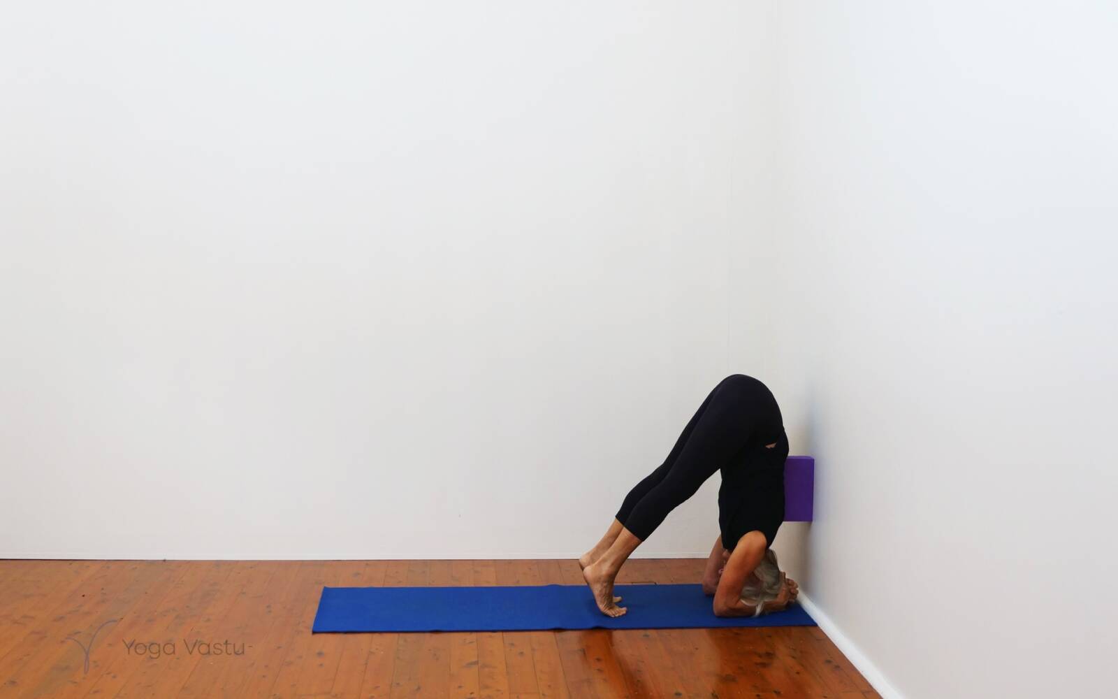 Online Iyengar yoga videos | Restorative and Pranayama to Facilitate Grounding