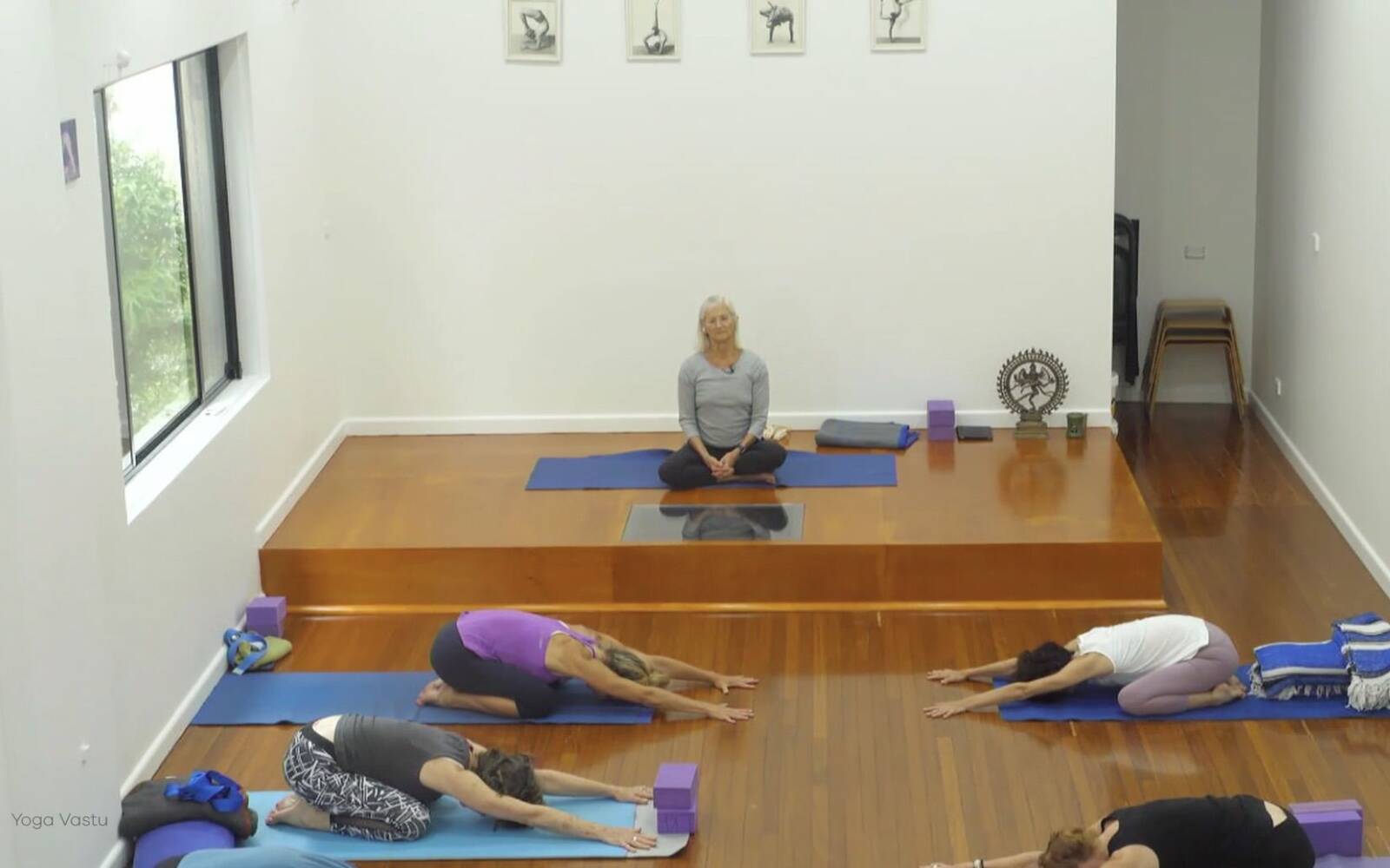 Online Iyengar yoga videos | Forward Bends to Facilitate Self-Reflection
