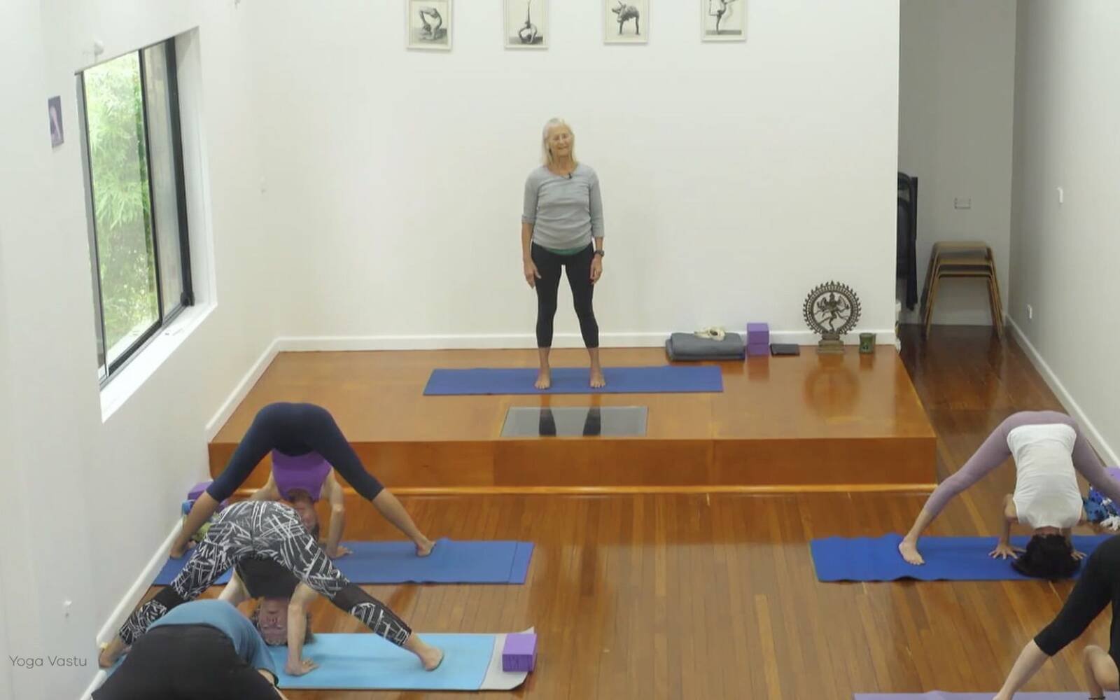 Online Iyengar yoga videos | Forward Bends to Facilitate Self-Reflection