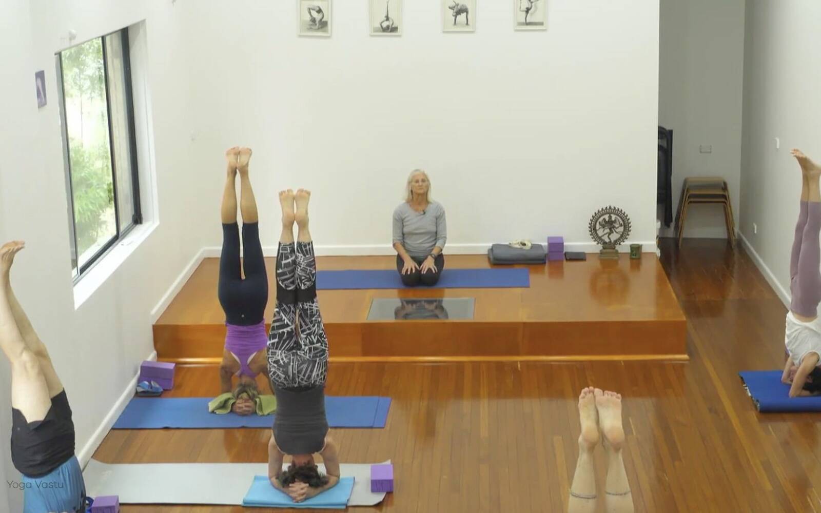 Online Iyengar yoga videos | Forward Bends to Facilitate Self-Reflection