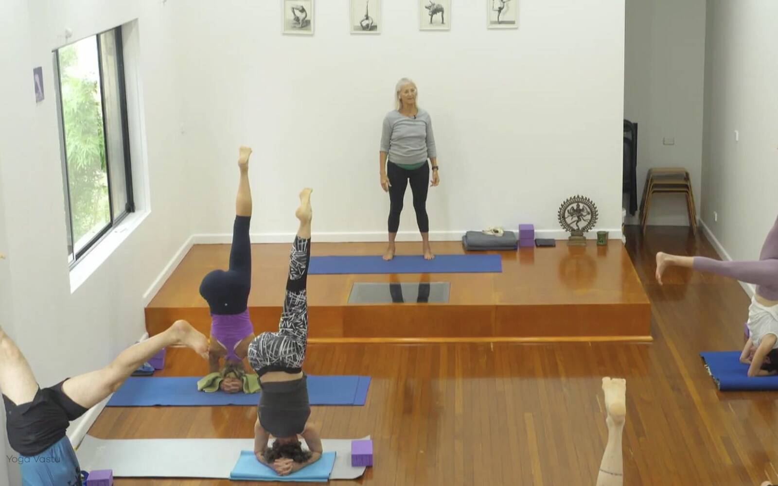 Online Iyengar yoga videos | Forward Bends to Facilitate Self-Reflection