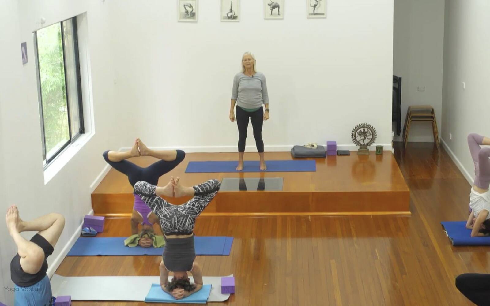 Online Iyengar yoga videos | Forward Bends to Facilitate Self-Reflection