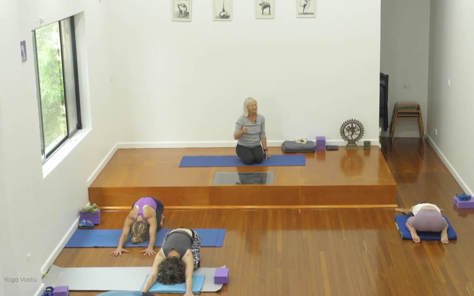 Online Iyengar yoga videos | Forward Bends to Facilitate Self-Reflection