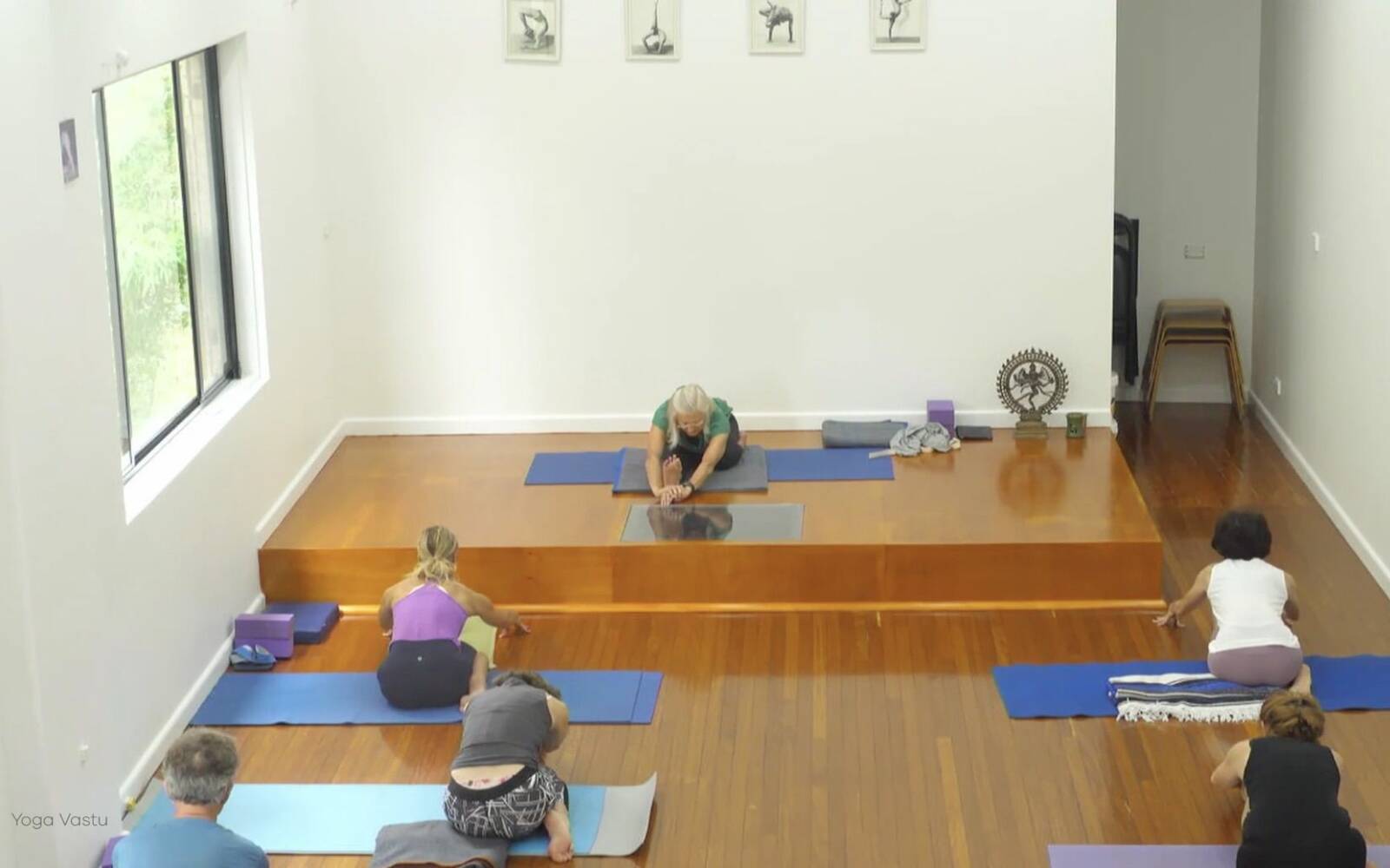 Online Iyengar yoga videos | Forward Bends to Facilitate Self-Reflection