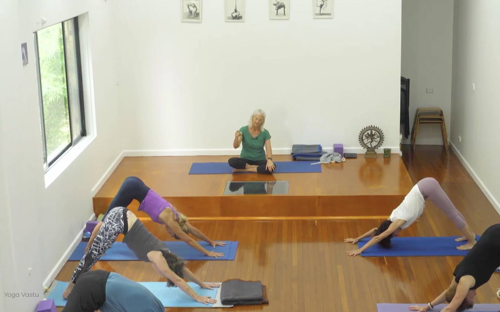 Online Iyengar yoga videos | Forward Bends to Facilitate Self-Reflection