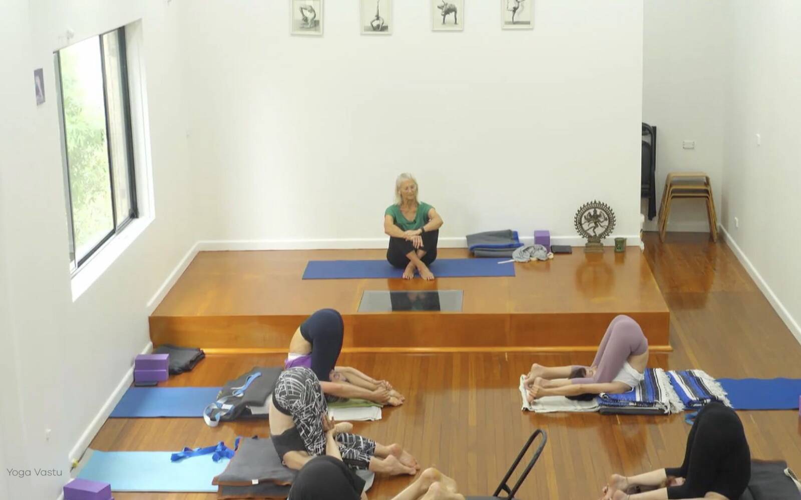 Online Iyengar yoga videos | Forward Bends to Facilitate Self-Reflection