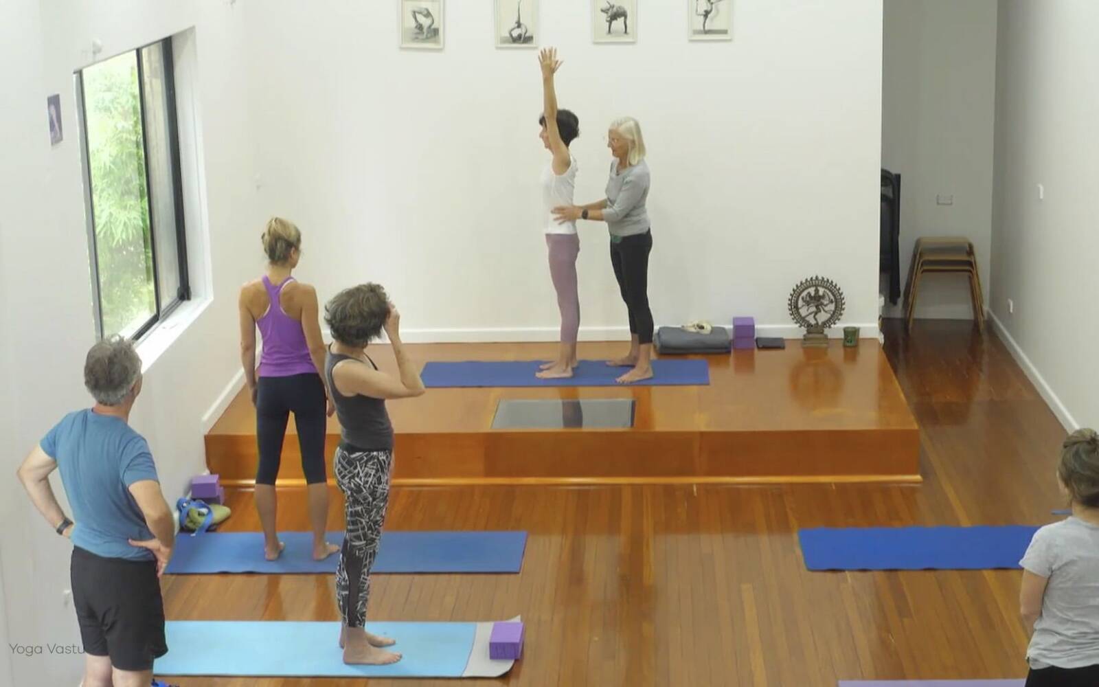 Online Iyengar yoga videos | Forward Bends to Facilitate Self-Reflection