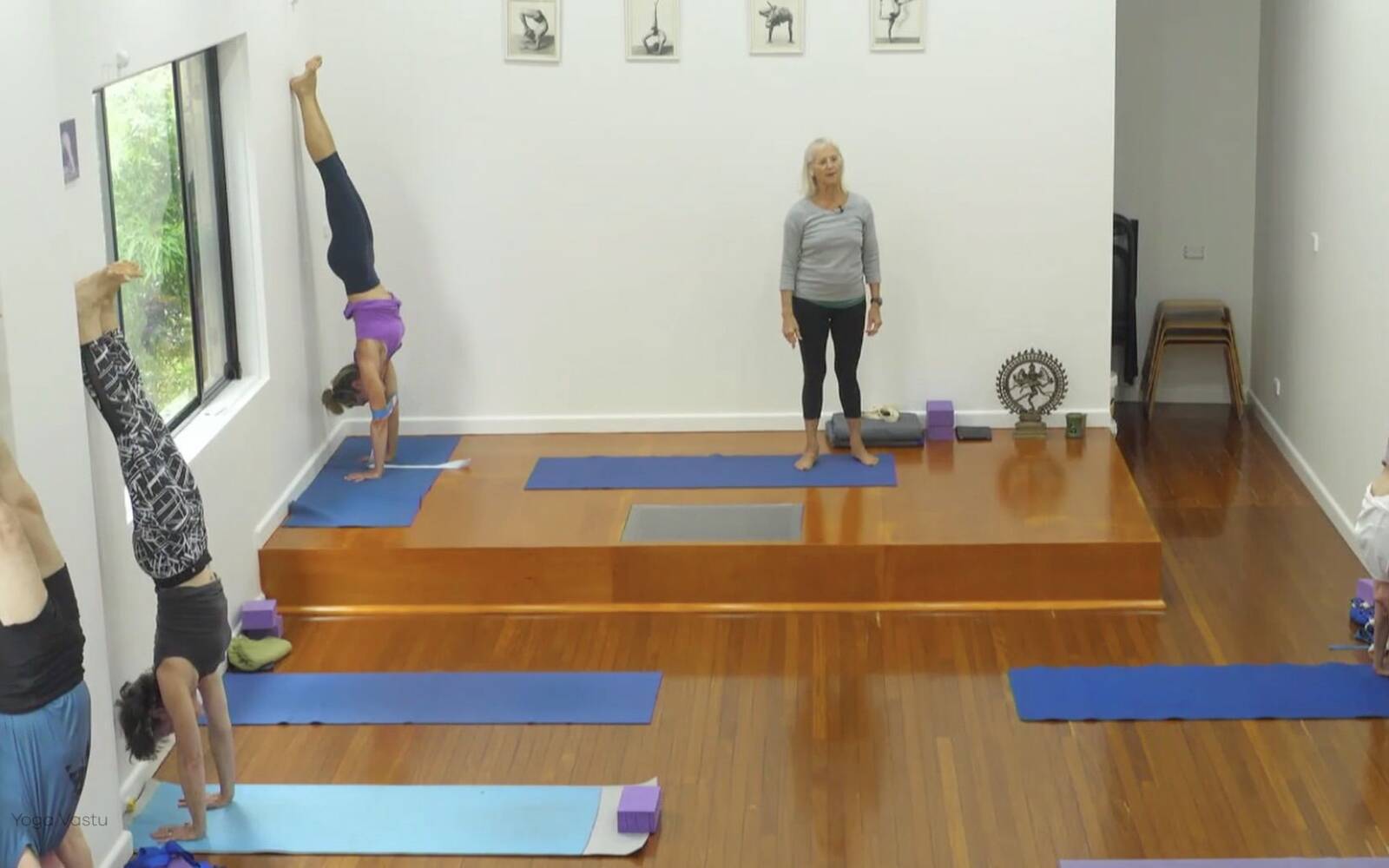 Online Iyengar yoga videos | Forward Bends to Facilitate Self-Reflection