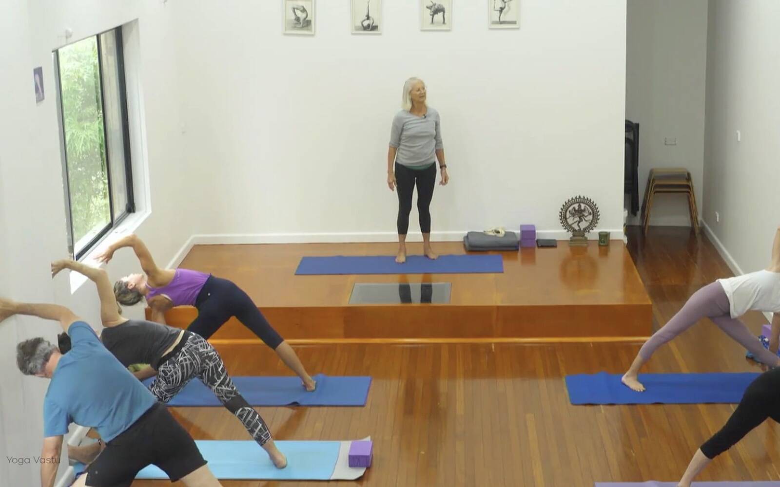 Online Iyengar yoga videos | Forward Bends to Facilitate Self-Reflection