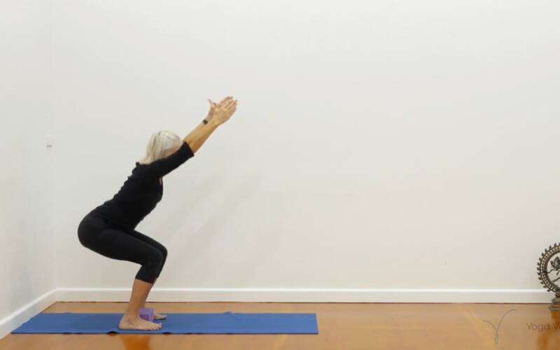 Online Iyengar yoga video thumbnail: Session with Knee Focus