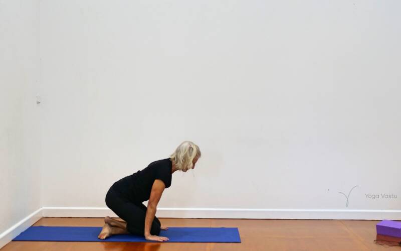 Online Iyengar yoga video thumbnail: Easy-Going Session for Hips and Shoulders
