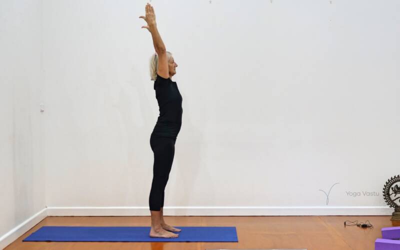 Iyengar yoga videos – backbend asanas - Yoga Vastu