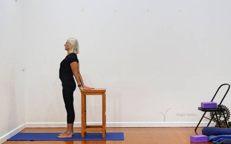 Online Iyengar yoga video thumbnail: Gentle Upper and Lower Back Release
