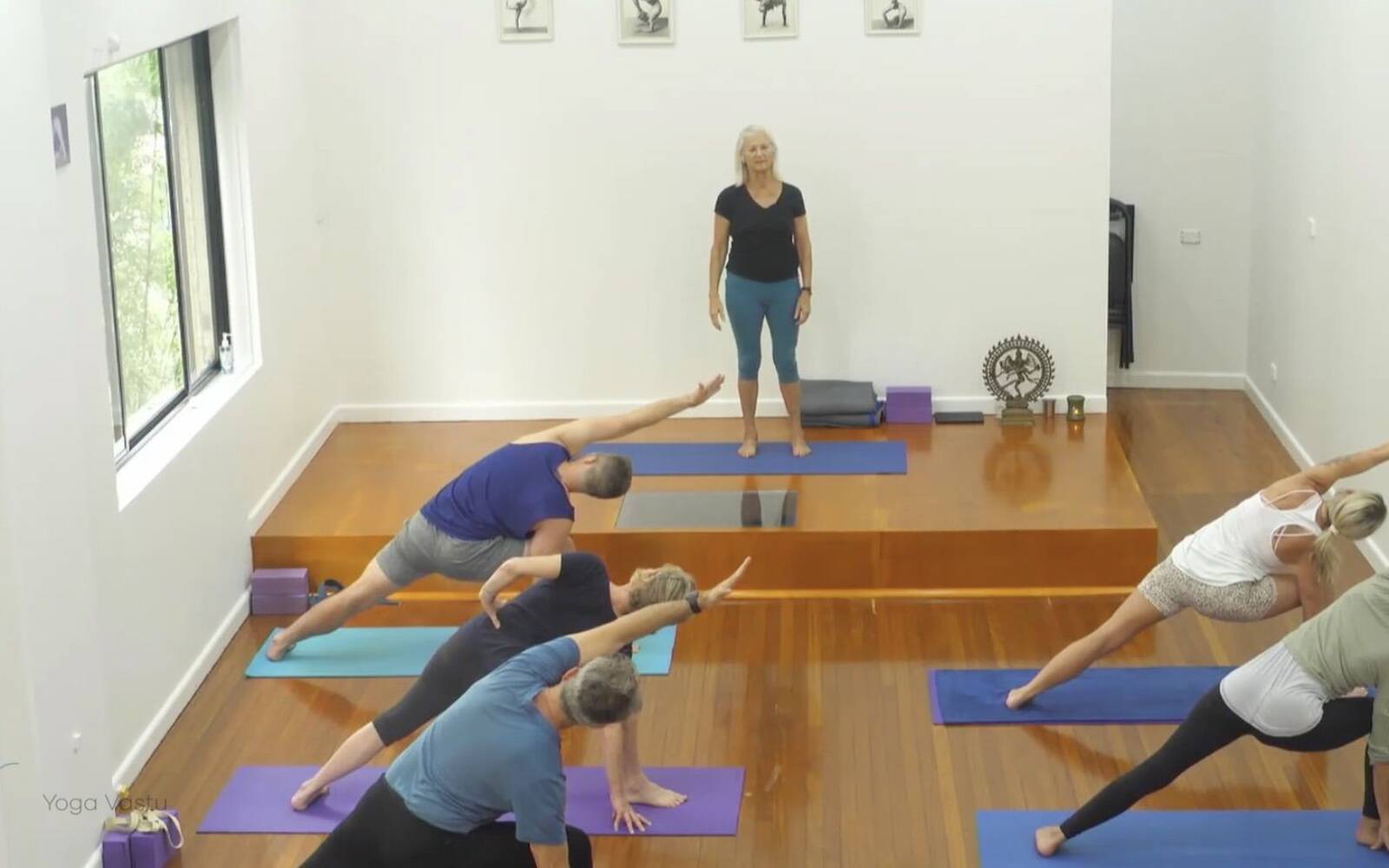 Online Iyengar yoga videos | Comprehensive Standing Pose Class with Inversions