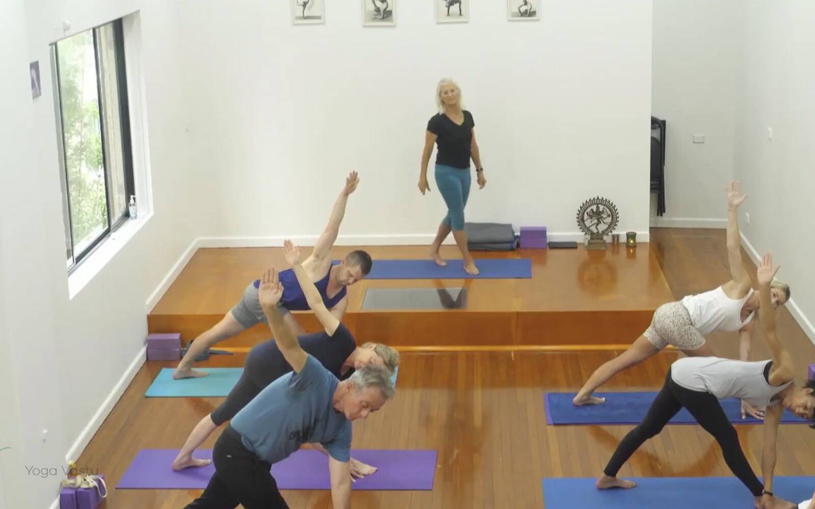Online Iyengar yoga videos | Comprehensive Standing Pose Class with Inversions