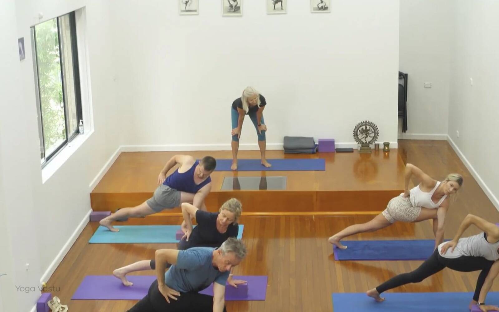 Online Iyengar yoga videos | Comprehensive Standing Pose Class with Inversions