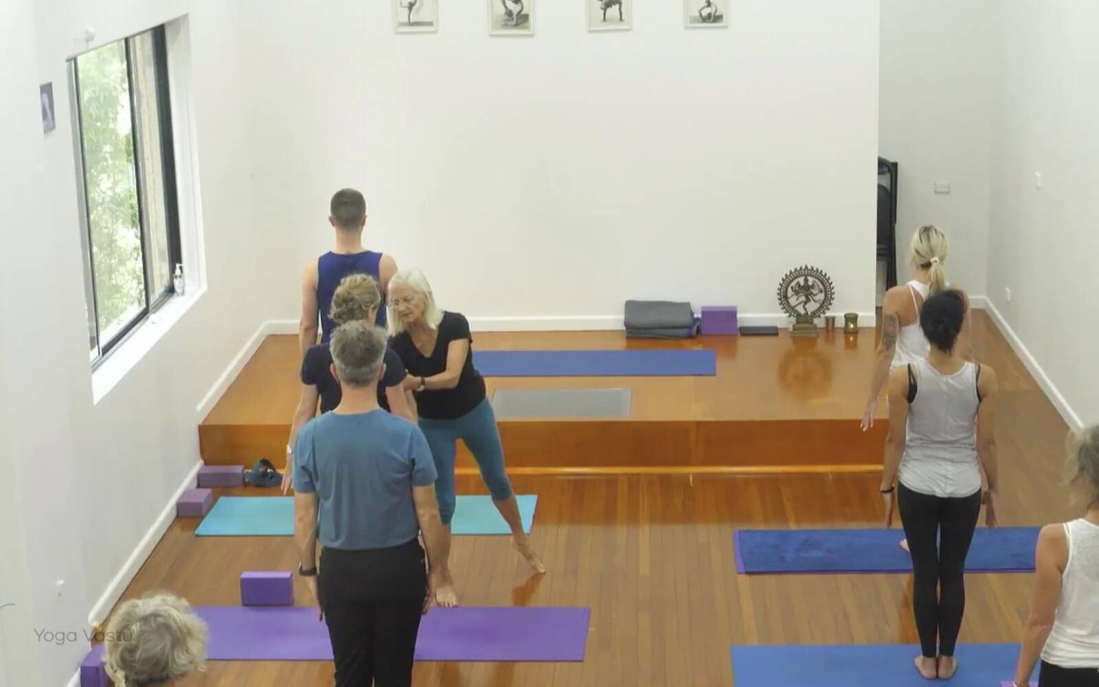 Online Iyengar yoga videos | Comprehensive Standing Pose Class with Inversions